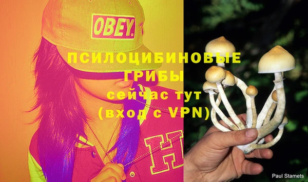мескалин Магадан