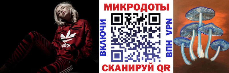 Псилоцибиновые грибы мухоморы Калининград