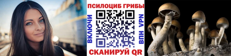 Псилоцибиновые грибы GOLDEN TEACHER цена Калининград